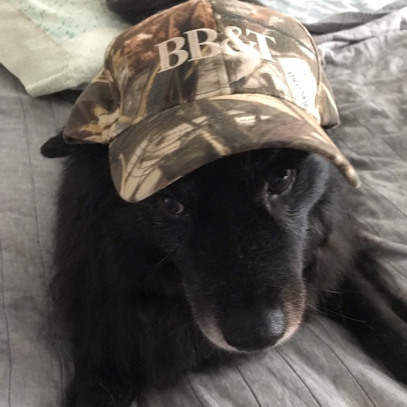 Meet your Posher, Elizabeth - Picture 1 of 1